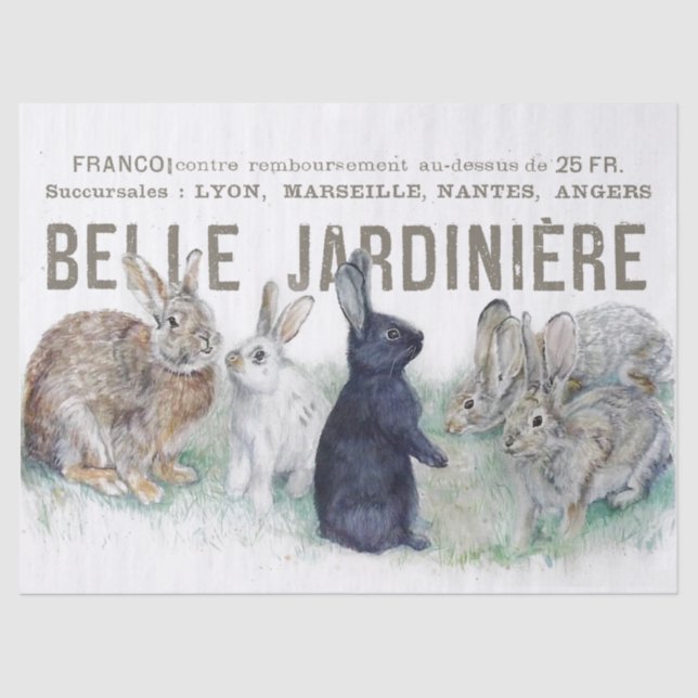 Papier Mousseline Jardin Vintage Lapin Rabbit Découpage (Recto)