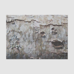 Papier Mousseline Jeune écorce d'érable 0041