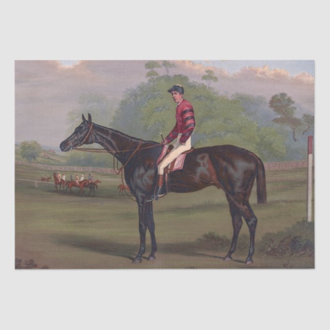 Papier Mousseline Jockey sur hippocampe (Recto)