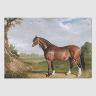 Papier Mousseline John Frederick Herring Snr Un Stallion Clydesdal