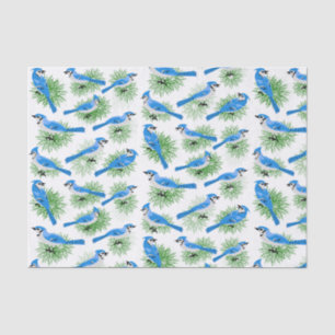 Papier Mousseline Joli Blue Jays dans les oiseaux uniques de pin