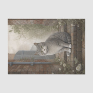 Papier Mousseline Joli chat Kitty Grey