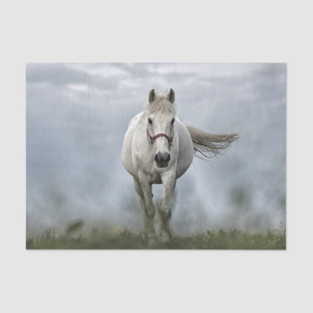 Papier Mousseline Joli Cheval Blanc Nuage Photo (Recto)