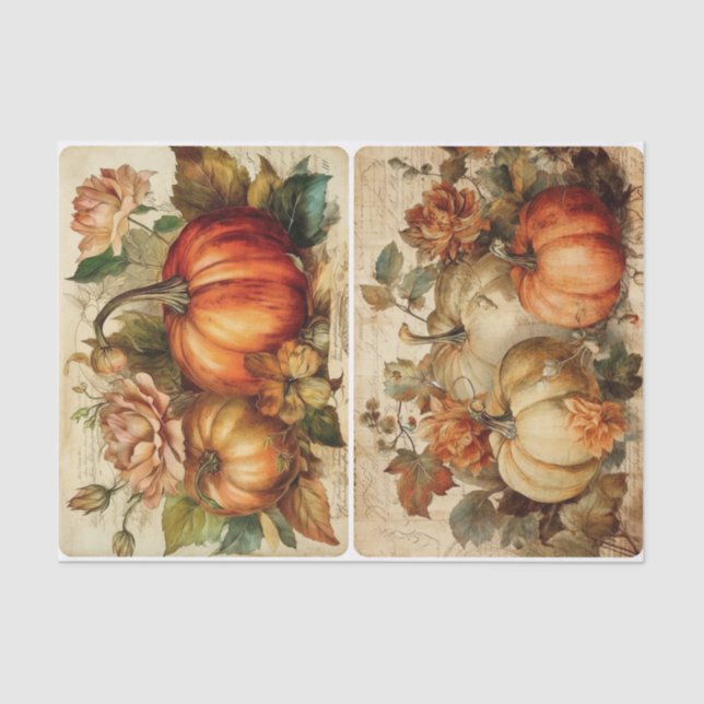 Papier Mousseline Joli Citrouille (Recto)