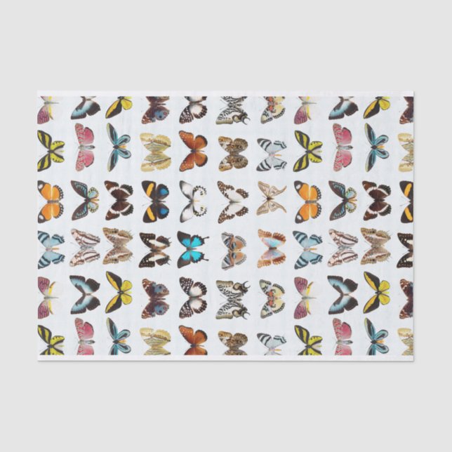Papier Mousseline Joli Motif des papillons (Recto)