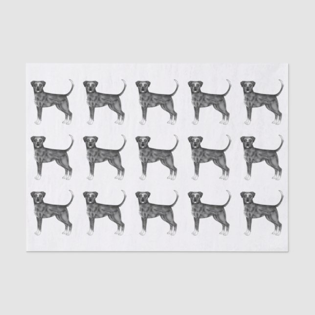 Papier Mousseline Joli motif d'un chien Boxer en noir et blanc (Recto)