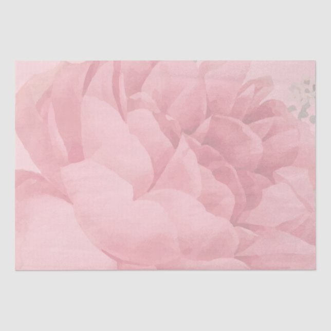 Papier Mousseline Joli Rose rose rose pâle (Recto)