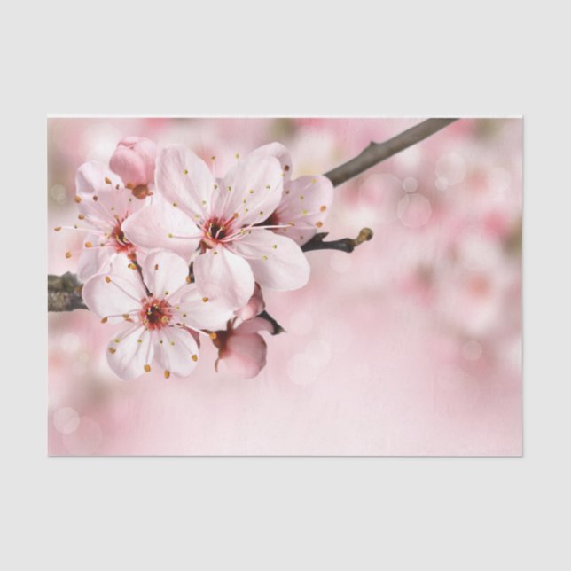 Papier Mousseline Jolie Feminine Cerisier Rose Printemps Floral Saku (Recto)