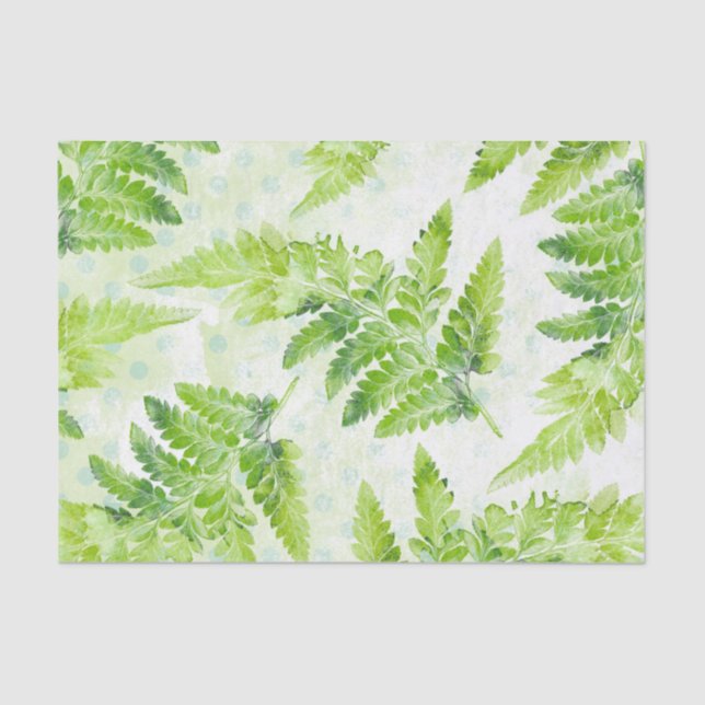 Papier Mousseline Jolie Ferne Botanique Motif d'aquarelle verte (Recto)