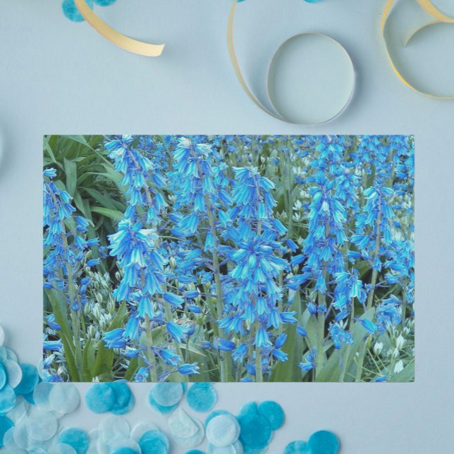 Papier Mousseline Jolies fleurs bleues Florales (In Situ)