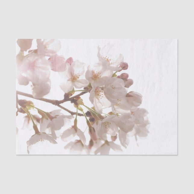 Papier Mousseline Jolies fleurs de cerisier (Recto)