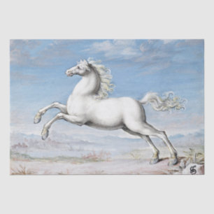 Papier Mousseline Joris Hoefnagel   Cheval Blanc - 1552 et 1601