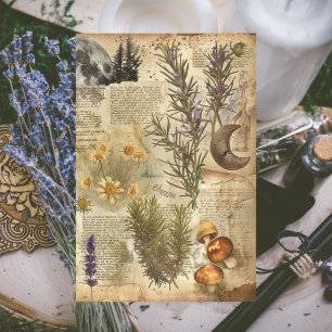 Papier Mousseline Journal de la sorcière vintage avec Lune et Floral