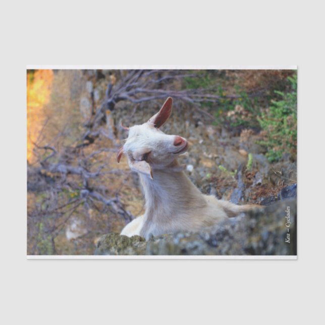 Papier Mousseline Kea - Cyclades (Recto)