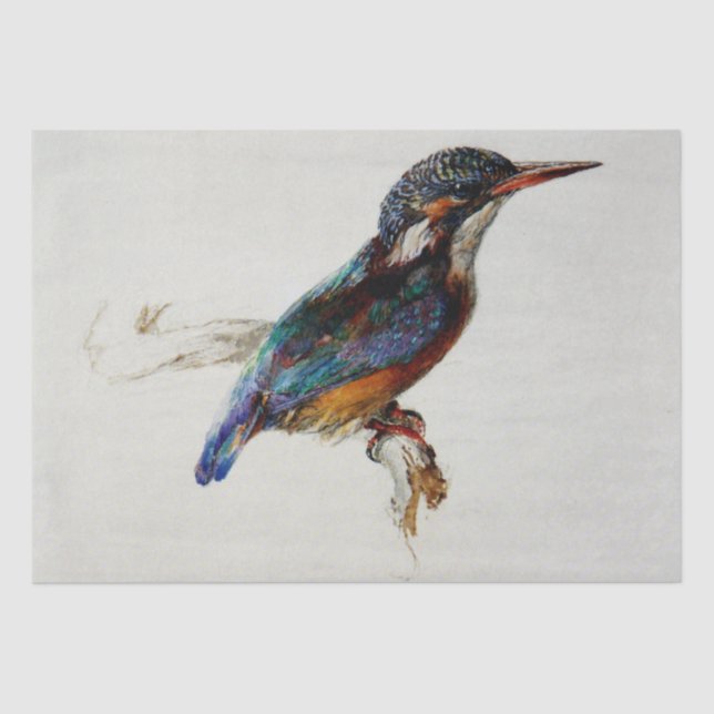 Papier Mousseline Kingfisher (par John Ruskin) (Recto)