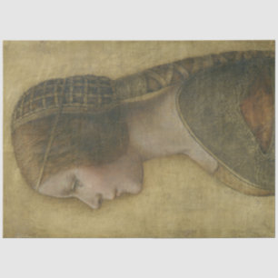 Papier Mousseline La Belle Princesse (par Léonard de Vinci)