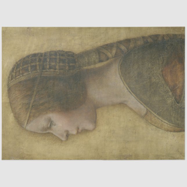 Papier Mousseline La Belle Princesse (par Léonard de Vinci) (Recto)