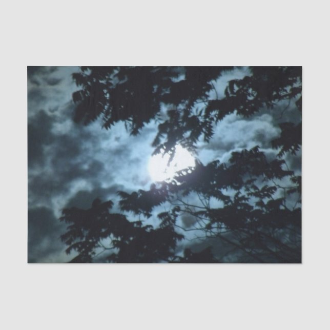 Papier Mousseline La lune illumine la nuit derrière des branches (Recto)