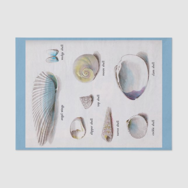 Papier Mousseline La mer écosse le pastel naturel 10" X 15" papier (Recto)