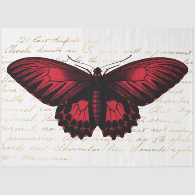 Papier Mousseline La série Bouquet Design 139 (Recto)