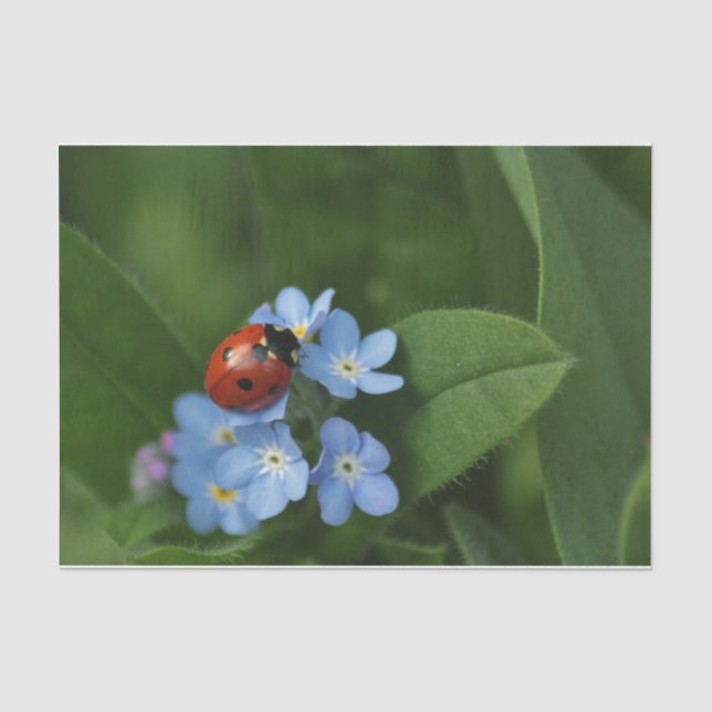 Papier Mousseline Ladybug On Flowers (Recto)