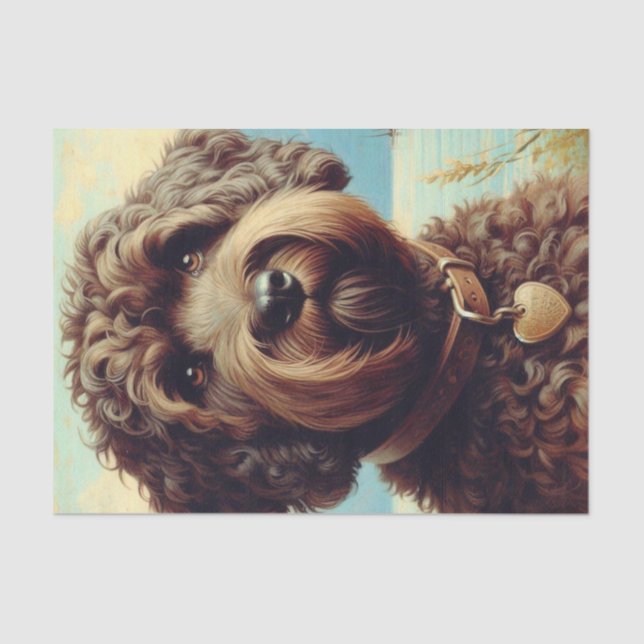 Papier Mousseline Lagotto vintage Romagnolo Peinture (Recto)