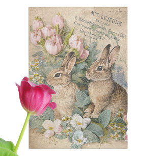 Papier Mousseline Lapin Lapin Brown Shabby Floral Découpage Français