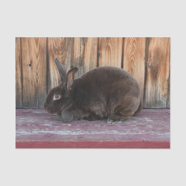 Papier Mousseline Lapin Lapin Rustique Brown Country Farm (Recto)