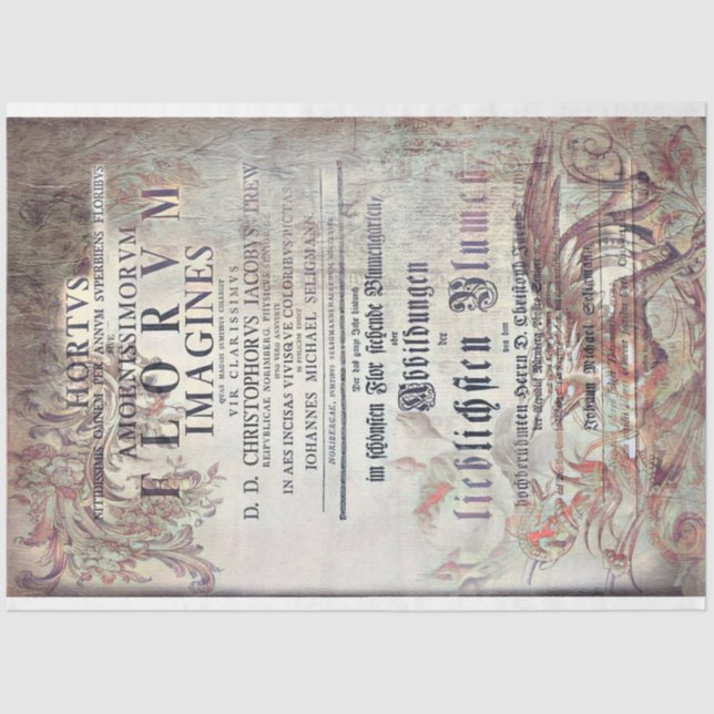 Papier Mousseline Latin ephemera (Recto)