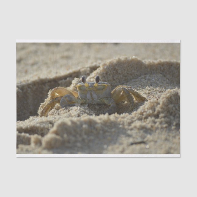 Papier Mousseline Le crabe dans le papier de découpage du sable (Recto)