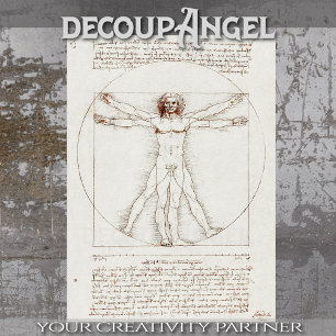 Papier Mousseline Le découpage vitruvien de Léonard de Vinci