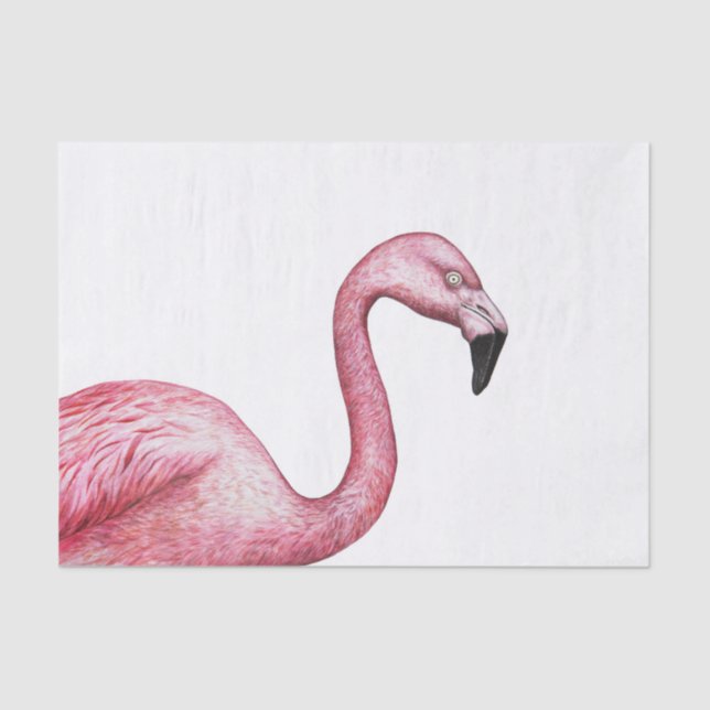 Papier Mousseline Le Flamant rose (Recto)
