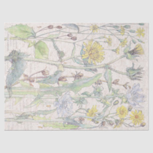 Papier Mousseline Le fleur sauvage vintage de Gasteria fleurit le