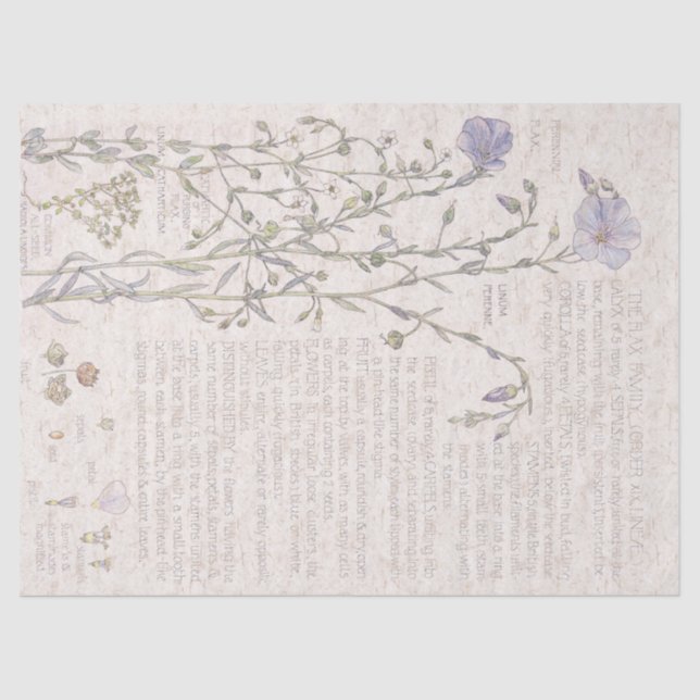 Papier Mousseline Le fleur sauvage vintage de lin fleurit le papier (Recto)