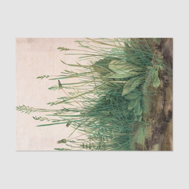 Papier Mousseline Le Grand Morceau de Turf, 1503 par Albrecht Durer (Recto)