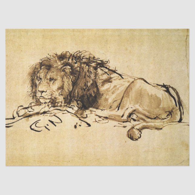 Papier Mousseline LE LION DU CAP, par Rembrandt Sepia, Black (Recto)