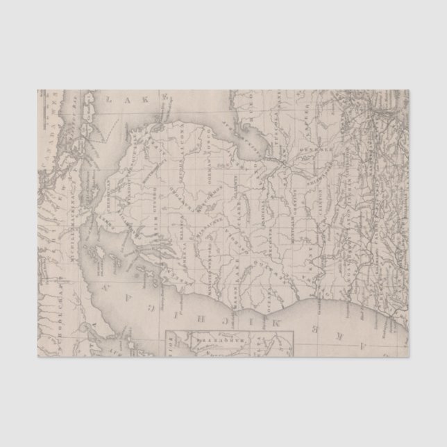 Papier Mousseline Le Michigan 9 (Recto)