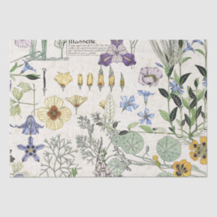 Papier Mousseline Le pavot français de Nouveau d'art fleurit le