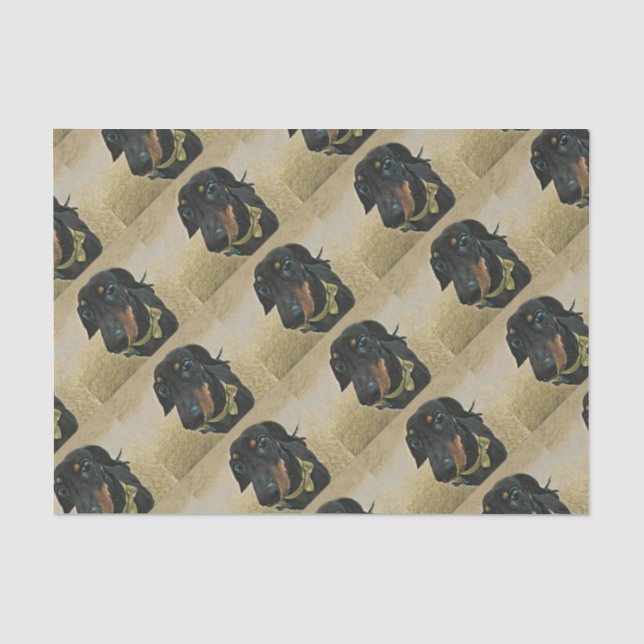 Papier Mousseline LeBron le papier d'enveloppement Dachshund. (Recto)