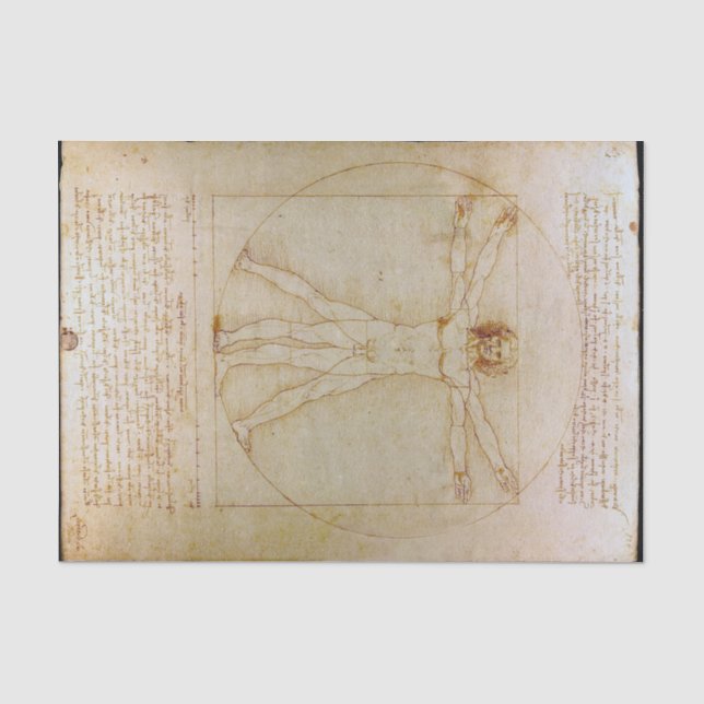 Papier Mousseline Léonard De Vinci, L'Homme Vitruvien, Renaissance (Recto)
