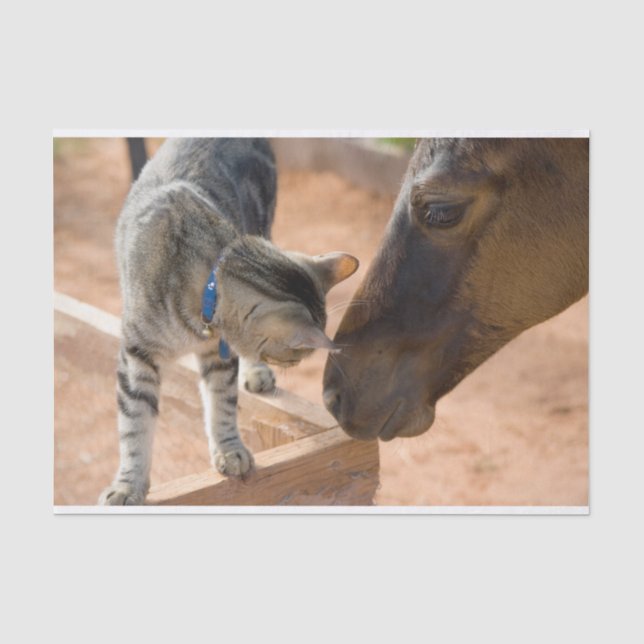 Papier Mousseline Les amis du chat et du cheval (Recto)