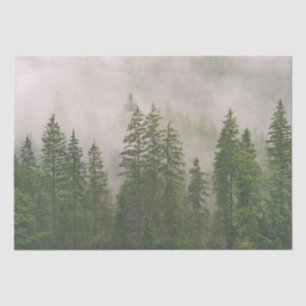 Papier Mousseline Les arbres de la forêt de Foggy