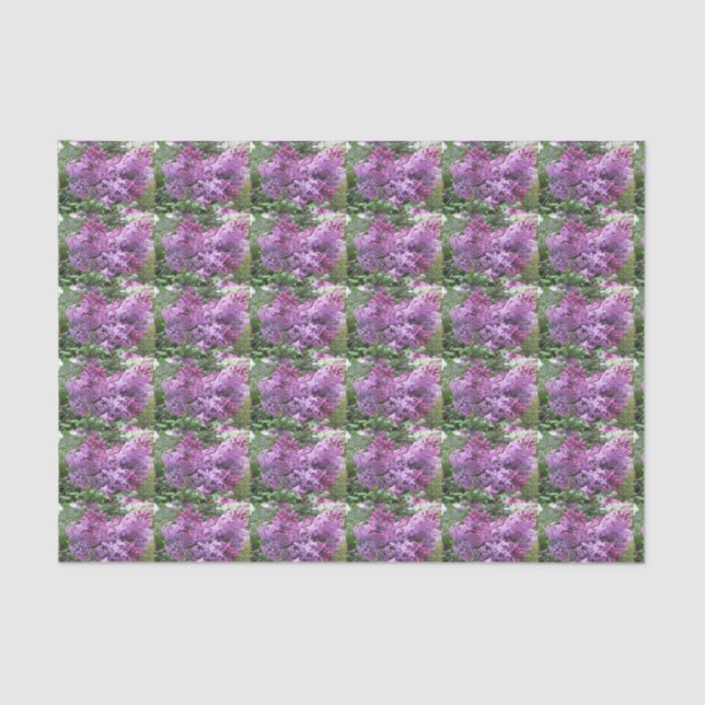Papier Mousseline Les beaux lilas (Recto)