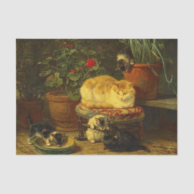 Papier Mousseline Les chatons en jeu (Recto)