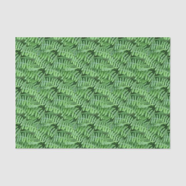 Papier Mousseline Les fougères vertes des bois Nature Motif (Recto)