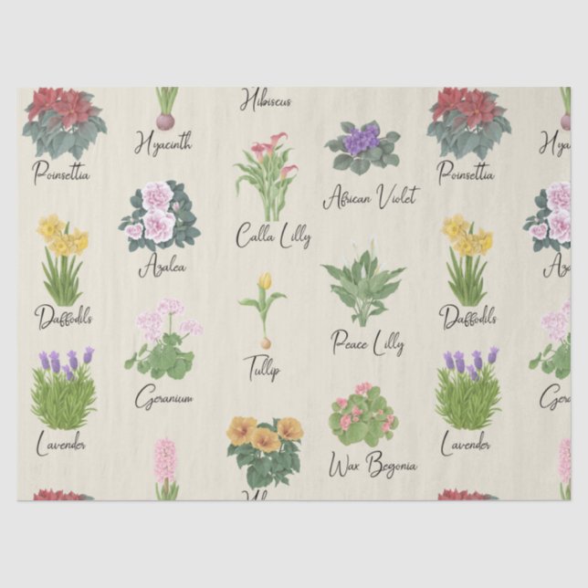 Papier Mousseline Les Plantes de maison et leurs noms - Cute Minimal (Recto)