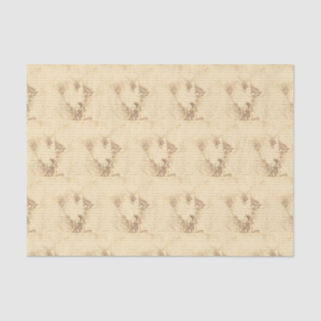 Papier Mousseline Lettre manuscrite Sepia vintage (Recto)