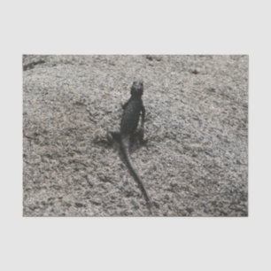 Papier Mousseline Lézard noir