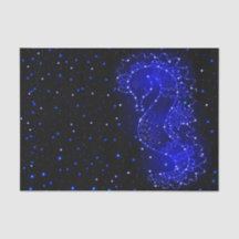 l'hippocampe nage dans les lumières