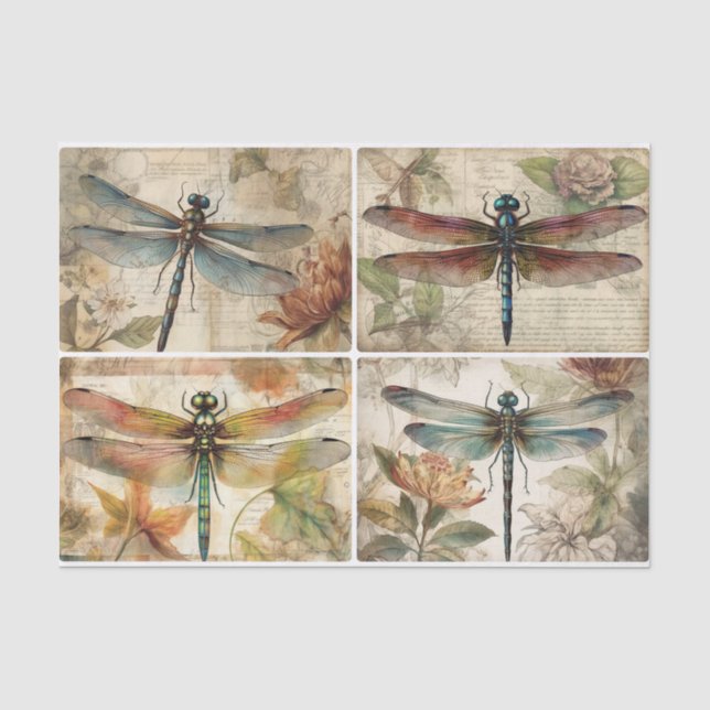 Papier Mousseline libellules (Recto)